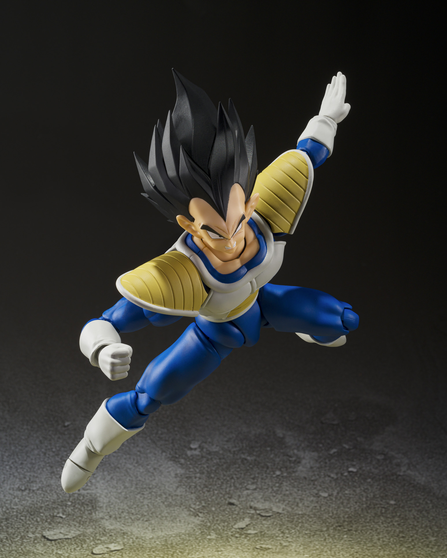 Dragon Ball S.H.Figuarts VEGETA -24000 POWER LEVEL TAMASHII NATIONS P-Bandai Exclusive